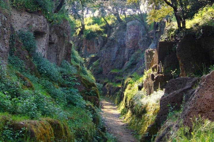 Etruscan Necropolises Day Trip from Rome: Tarquinia & Cerveteri Private Tour photo 4