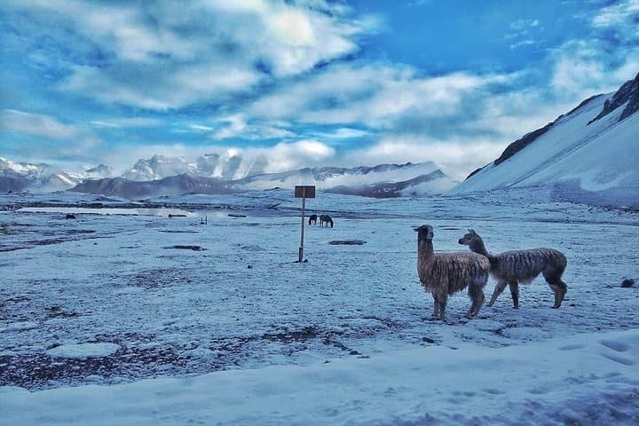 Vinicunca (Rainbow Mountain) Day Hike — Cusco's Colorful Peak photo 2
