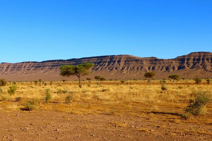 Zagora to Erg Chegaga: 2-Day Private 4x4 and Camel Desert Experience photo 5