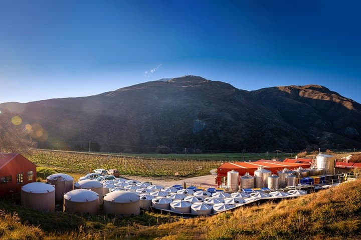 Gibbston Valley Winery Tour: Behind-the-Scenes Cave & Central Otago Pinot Tasting photo 5