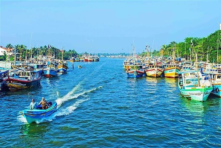 8-Night Magical Sri Lanka: Complete Cultural, Wildlife & Coastal Adventure photo 2