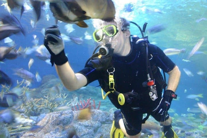 Inside Underwater World Pattaya: Thailand's Modern Aquarium & Marine Conservation Experience photo 3