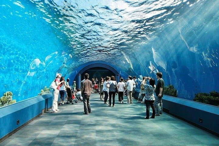 Inside Underwater World Pattaya: Thailand's Modern Aquarium & Marine Conservation Experience photo 2