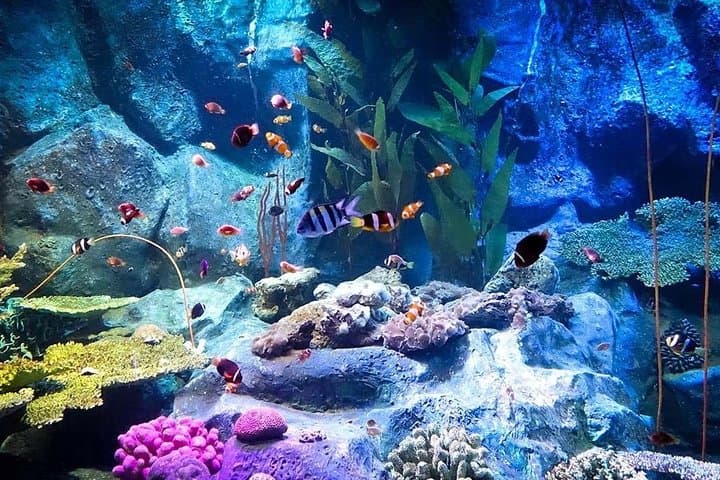 Inside Underwater World Pattaya: Thailand's Modern Aquarium & Marine Conservation Experience photo 6