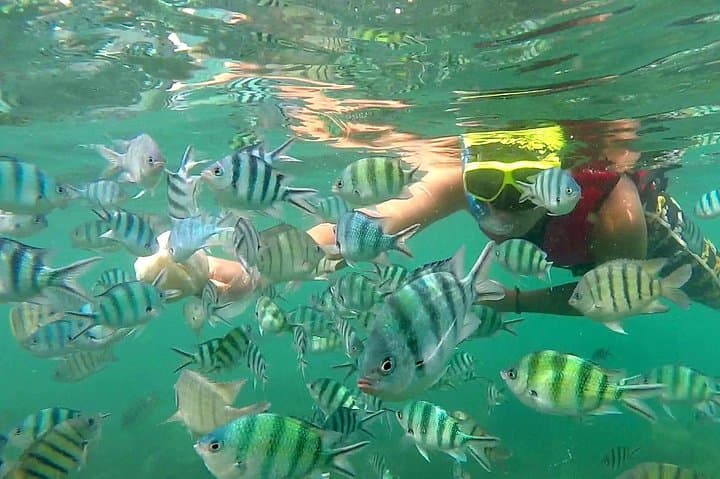 Koh Samui Pink Dolphins, Koh Tan Snorkel & Pig Island Day Trip photo 6