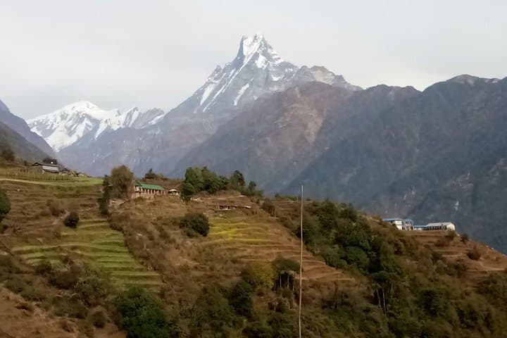 Poon Hill Trek Guide — Sunrise at Poon Hill & Ghorepani Trek (Annapurna) photo 4