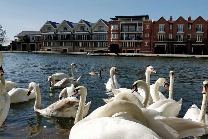 Windsor Day Trip from London: Private Roundtrip Transfer & Self-Guided Walk photo 3