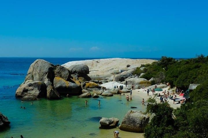 Cape Town Explorer: 5-Day Private Tour — Table Mountain, Winelands & V&A Waterfront photo 3