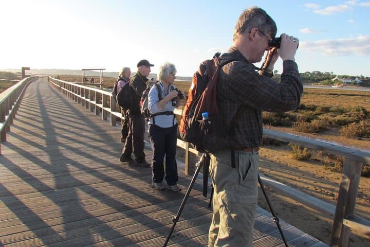 Algarve Birdwatching Week: Ria de Alvor to Castro Verde Wildlife Tour