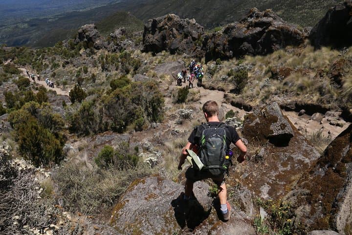 Mount Kilimanjaro Day Hike: Marangu Gate to Mandara Hut
