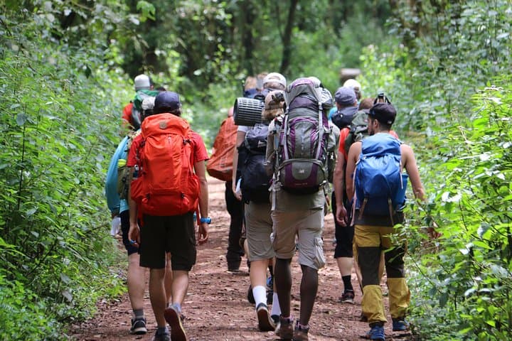 Mount Kilimanjaro Day Hike: Marangu Gate to Mandara Hut photo 2