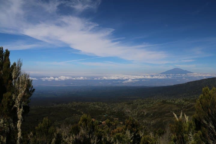 Mount Kilimanjaro Day Hike: Marangu Gate to Mandara Hut photo 3