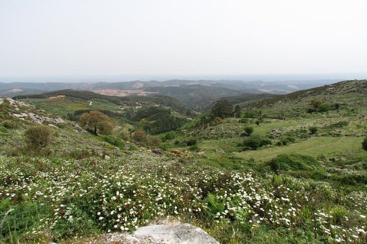 Algarve Birdwatching Week: Ria de Alvor to Castro Verde Wildlife Tour photo 6