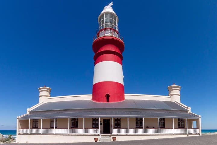 Cape Agulhas Full-Day Private Tour: Southern Tip, Penguins & Whale Watching