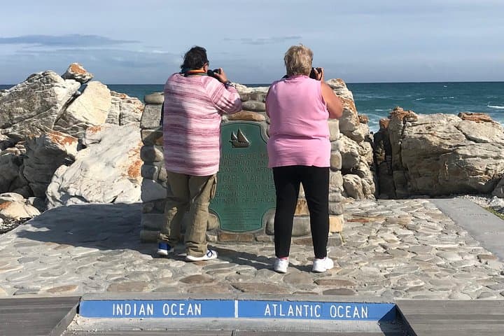 Cape Agulhas Full-Day Private Tour: Southern Tip, Penguins & Whale Watching photo 3