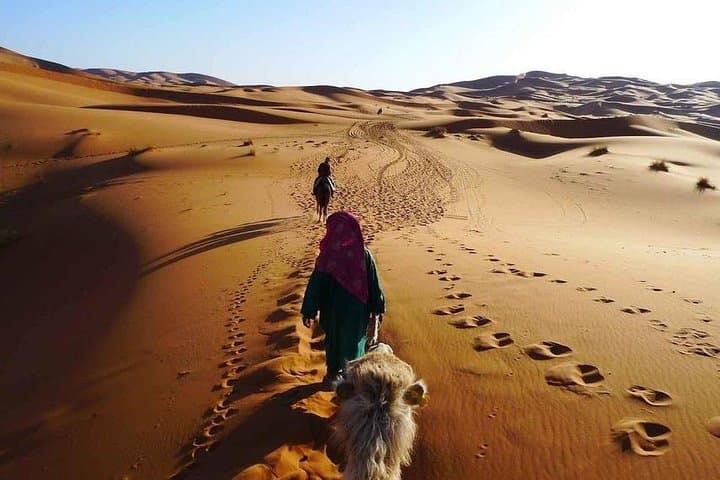 Hurghada 3-Hour Desert Quad Bike and Camel Safari photo 2
