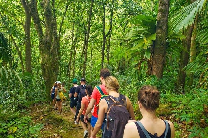 Saint Lucia Island Excursions: Self-Drive Rentals & Private Taxi Tours photo 4