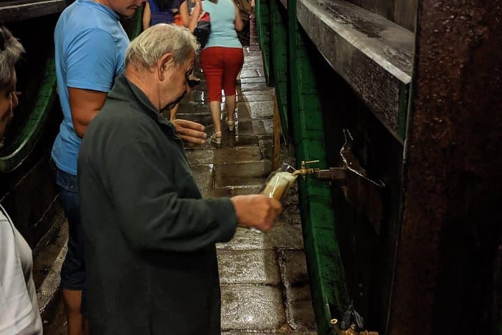 Pilsner Urquell Brewery Tour and Pilsen Sightseeing from Prague photo 6