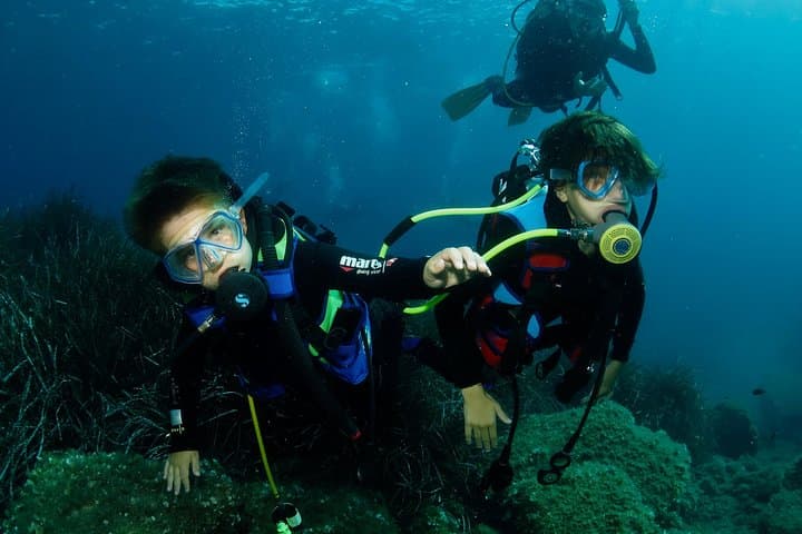 Try Scuba Diving on Elba Island: Beginner SSI Dives photo 6