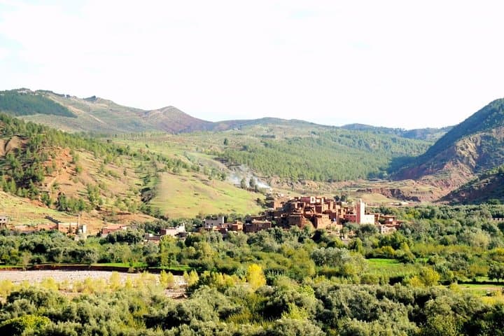 Ourika Valley & Setti Fatma Waterfalls: Full-Day High Atlas Trip from Marrakech photo 5