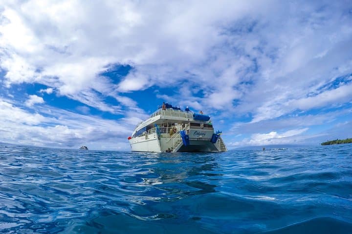 Molokini and Turtle Arches Snorkeling Trip from Ma'alaea Harbor — Maui's Best Day-Boat Adventure photo 4