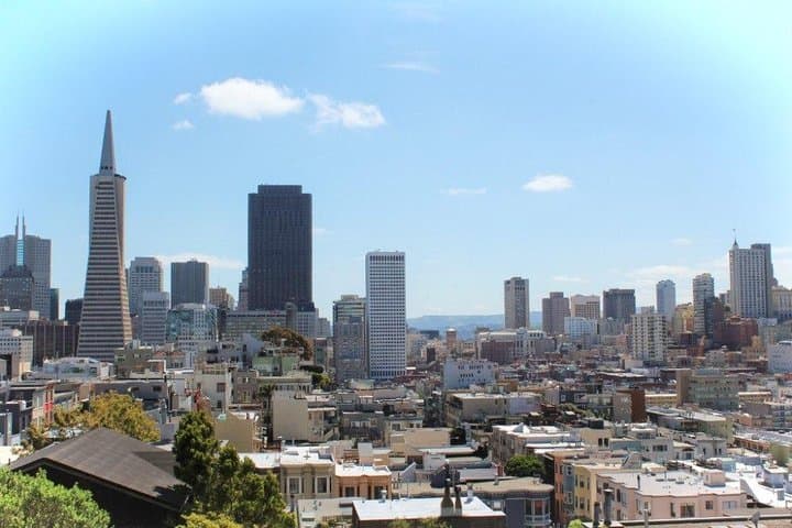 SFO to San Francisco Luxury SUV Transfer — Private Meet & Greet photo 4