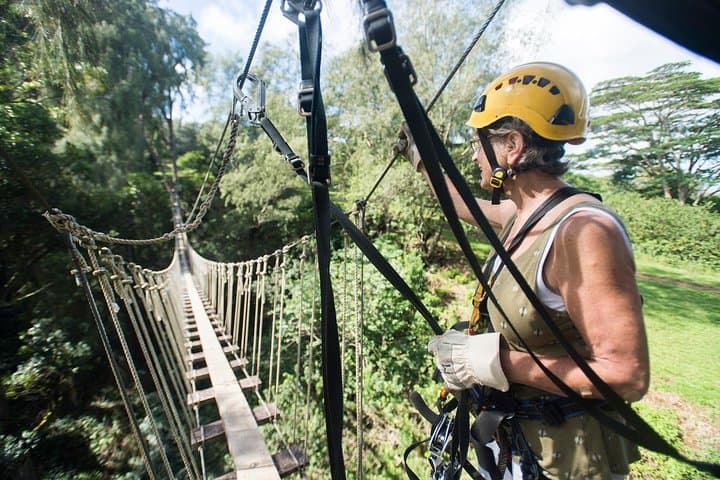 Big Island Kohala Canopy Zipline Adventure: Soar Above Hawaii’s North Kohala Forest photo 2