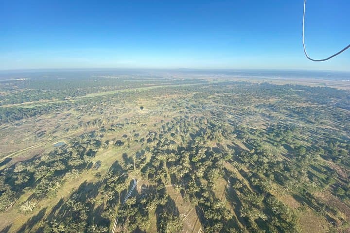 Sunrise Hot-Air Balloon Flight Over Coruche’s Cork-Oak Plains photo 5