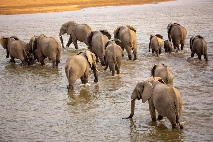 Private 6-Day Wildebeest Migration Safari & Hadzabe Cultural Visit photo 4