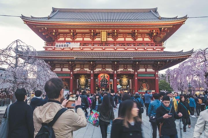 Design Your Own Tokyo: Private Half-Day Custom City Tour photo 3