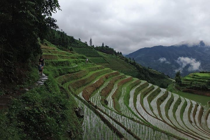 Day Trip to Longji (Dragon's Backbone) Rice Terraces & Ping'an Village — English-Speaking Driver photo 1
