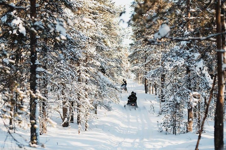 Arctic Circle Snowmobile Safari — Rovaniemi Half-Day Forest Ride photo 3