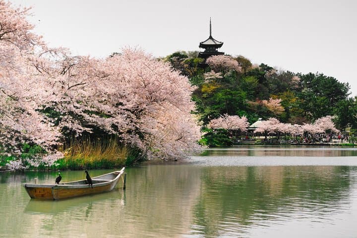 Custom Half-Day Yokohama City Tour: Private 4-Hour Highlights & Local Secrets