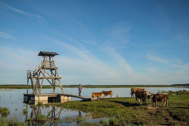 Kurzeme Day Trip: Kemeri Bogs, Cinevilla, Kuldīga Waterfall & Karosta Prison photo 2