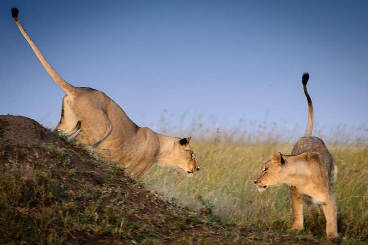 Lake Nakuru Full-Day Safari: Flamingo Spectacle, Rhinos & Boat Ride from Nairobi photo 2