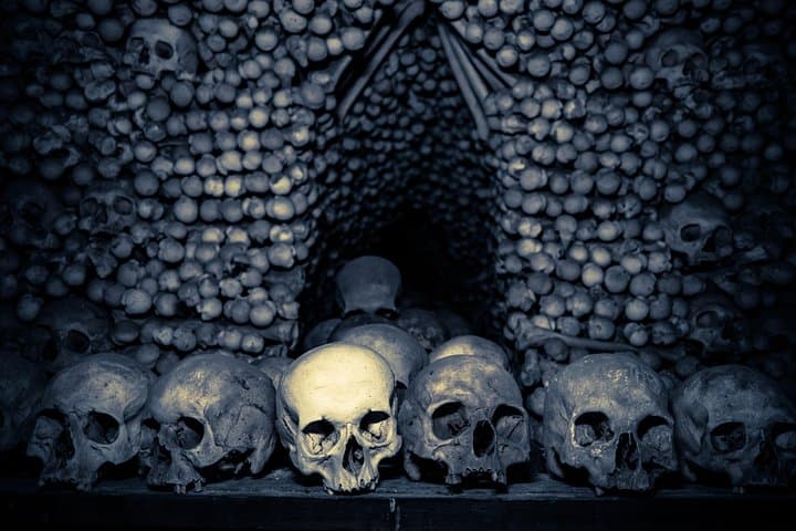 Kutná Hora Day Trip from Prague: Ossuary, St. Barbara’s & Cesky Sternberk Castle photo 5