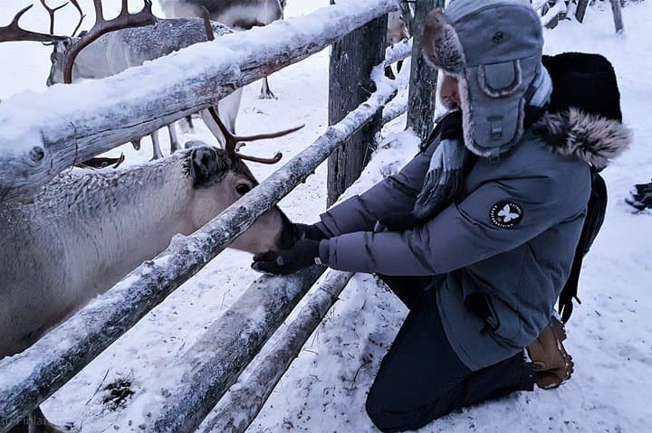 Reindeer Sledge Safari at Kopara: Guided Reindeer Farm Visit Near Pyhä-Luosto photo 2