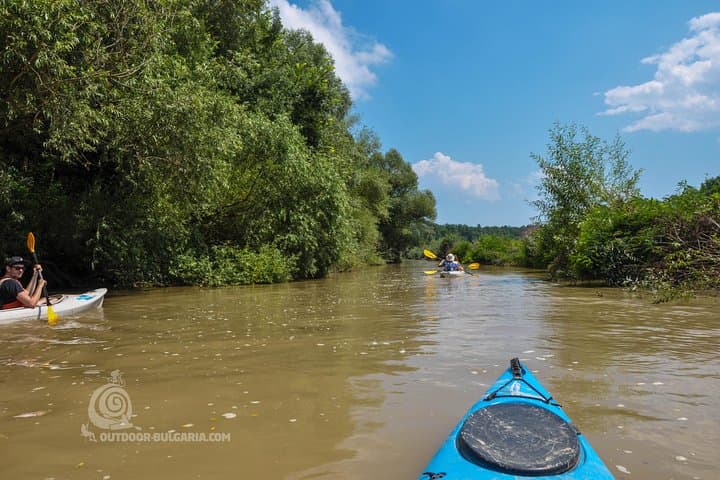Kamchia River Kayaking Day Tour: Paddle Bulgaria's Floodplain Forest photo 2