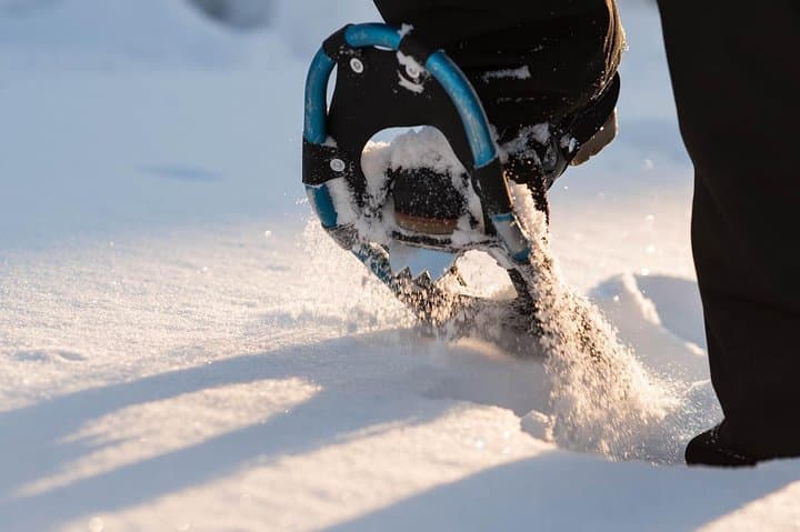 Arctic Circle Snowshoeing: Wilderness Tour from Rovaniemi photo 3