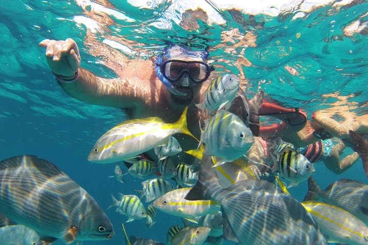 Catamaran Sailing to Isla Mujeres: Snorkel, Beach Time, Buffet & Open Bar photo 5