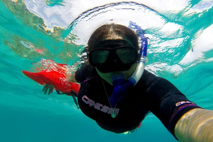 Snorkel the Marietas Islands & Visit the Hidden Beach — Small-Group Ecotour from Puerto Vallarta photo 4