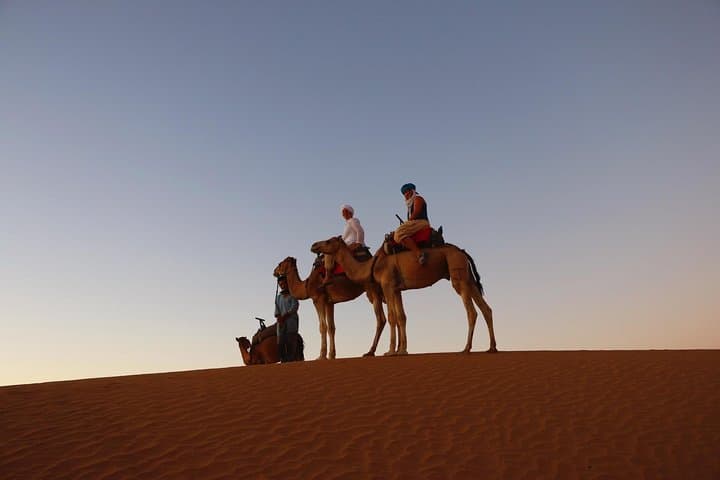 12-Day Ouarzazate Desert Trek — Draa Valley to Erg Chegaga (Private) photo 4