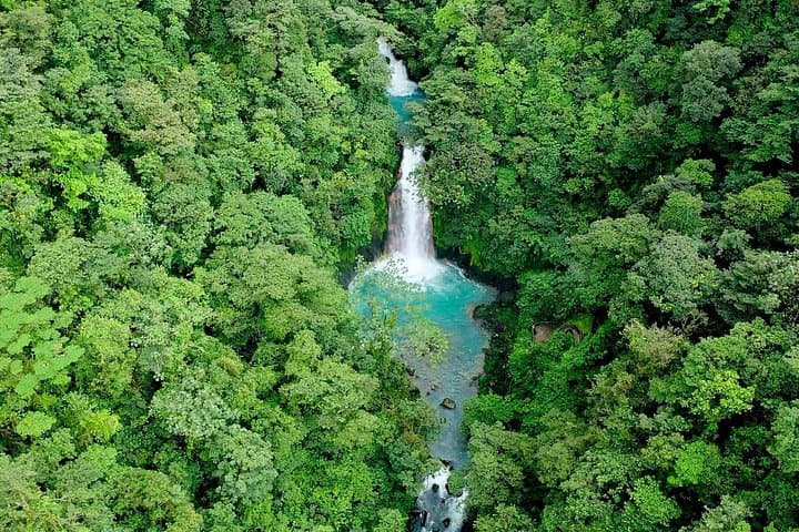 Rainforest Hiking to Río Celeste & Sloth Sanctuary — Private Tour from La Fortuna