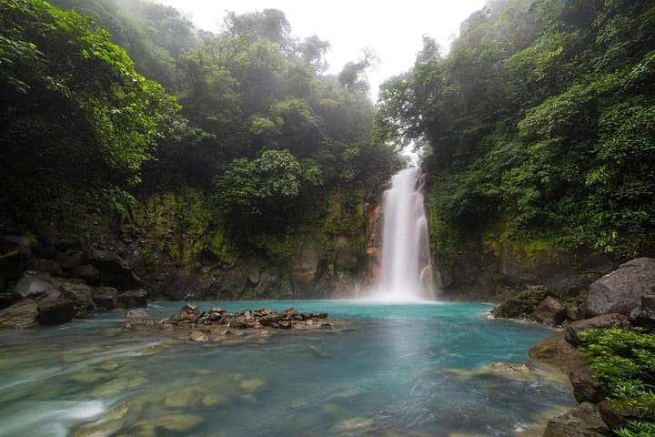 Rainforest Hiking to Río Celeste & Sloth Sanctuary — Private Tour from La Fortuna photo 2