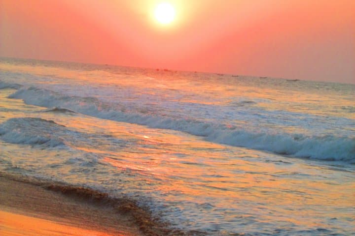 Konark & Chilika Lake Day Tour from Bhubaneswar: Sun Temple, Dolphins and Birding photo 2