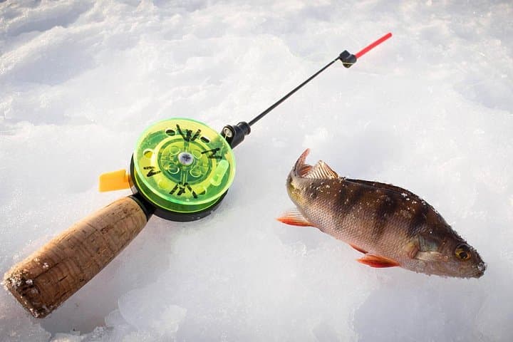 Rovaniemi Snowmobile Safari & Ice Fishing: Winter Afternoon in Lapland photo 3