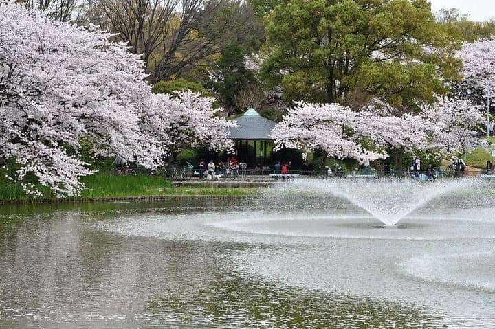 Nagoya Private Full-Day Custom Tour: Explore Castle, Shrines & Local Eats photo 5