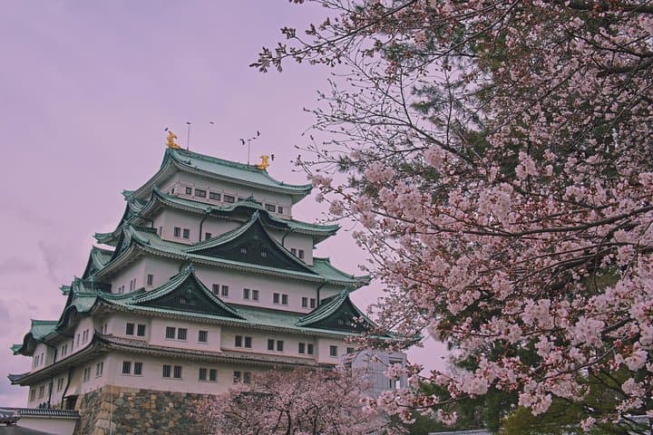 Nagoya Private Customizable Half-Day Tour — Tailor Your City Highlights