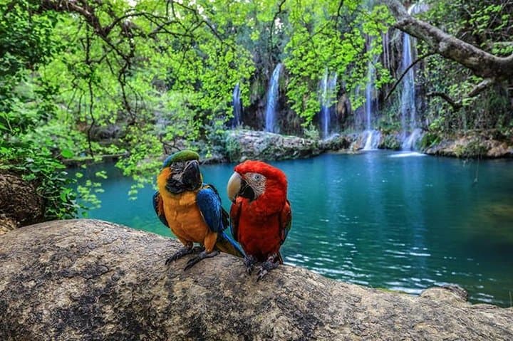Antalya City Tour: Tunektepe Cable Car, Kurşunlu Waterfall & Old Harbour Day Trip photo 4