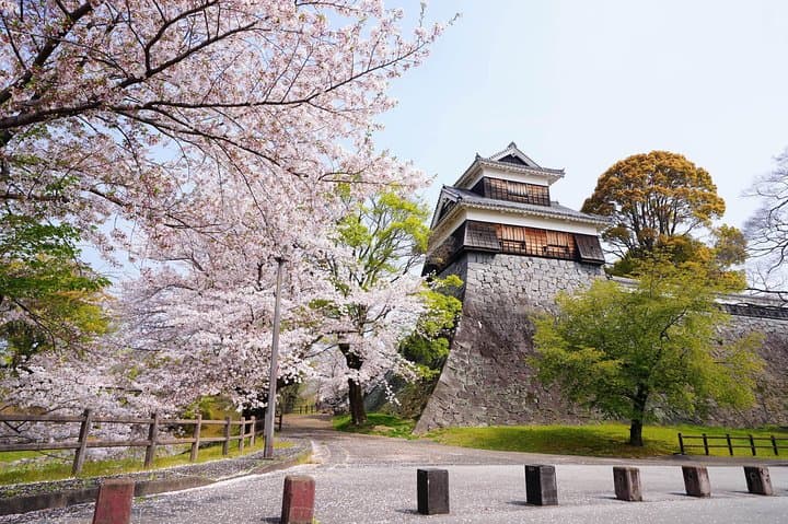 Explore Kumamoto Your Way: Private Custom Half-Day City Tour photo 2